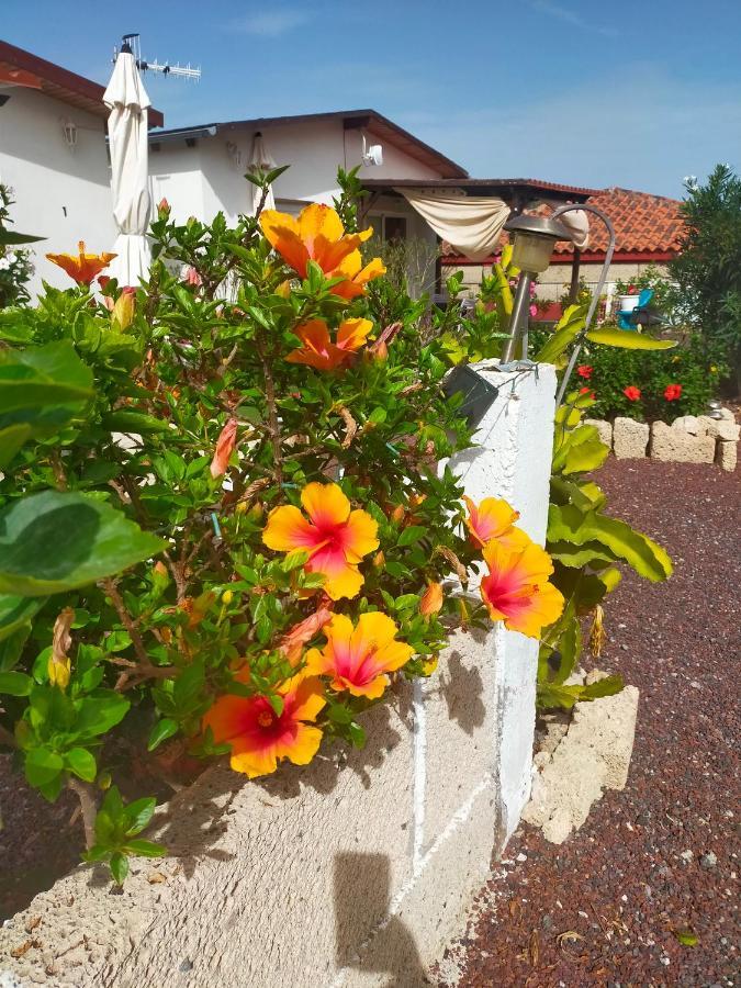 Villa Daita 1 Granadilla De Abona Esterno foto